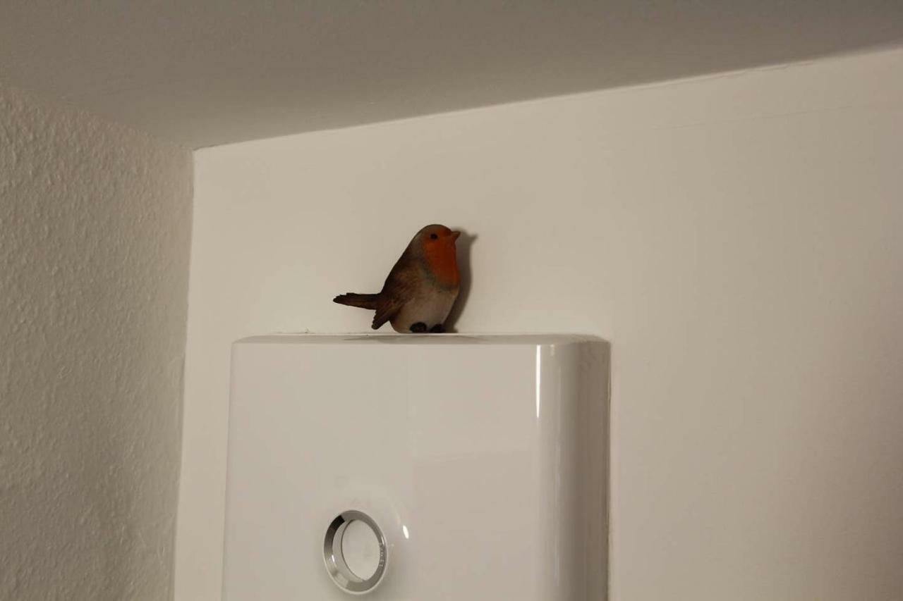 Chambre Chez L'Habitant Le Rouge-Gorge - Coeur De Riquewihr - 2 Personnes Exteriör bild